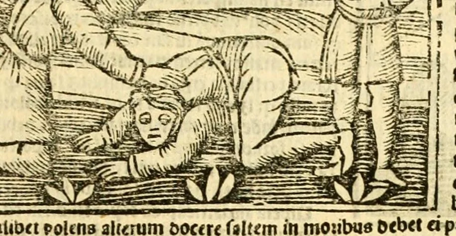 An illustration from Aesopi fabvlae cvm vvlgari interpretatione : et figuris nouissime omni cura, & diligentia emendatae, 1557, leaf 63