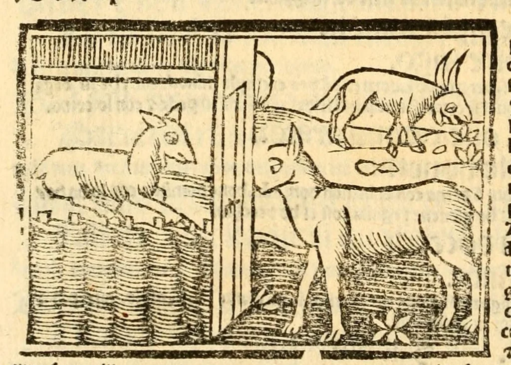 An illustration from Aesopi fabvlae cvm vvlgari interpretatione : et figuris nouissime omni cura, & diligentia emendatae, 1557, leaf 64