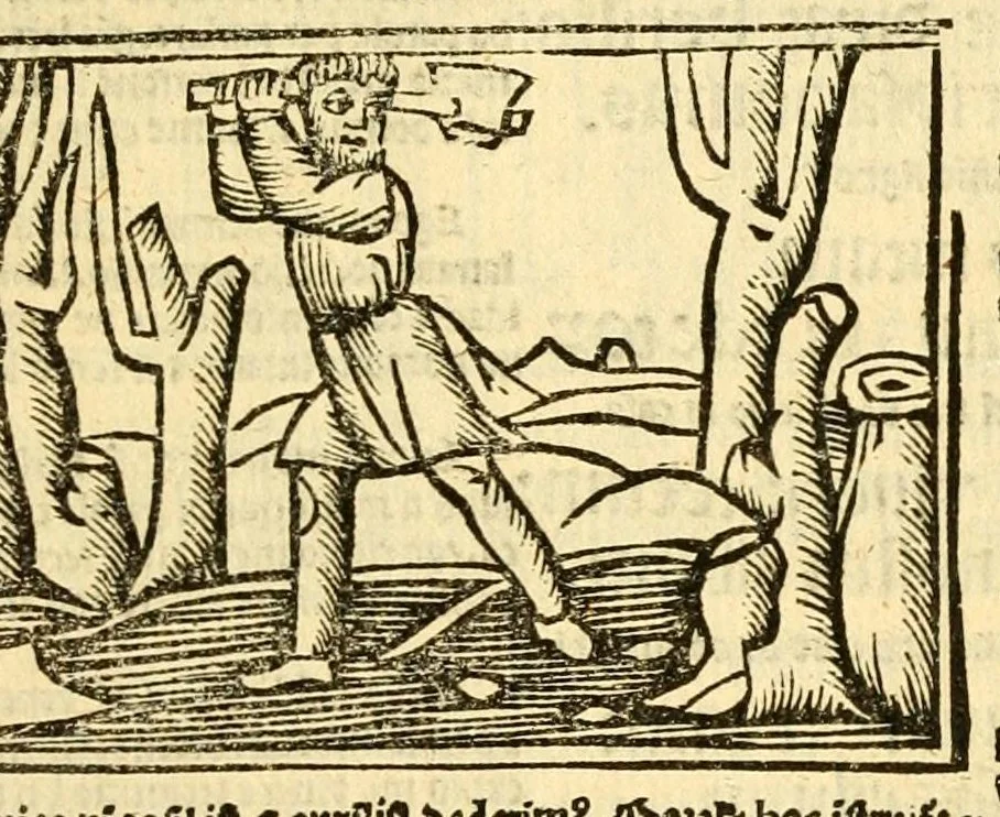 An illustration from Aesopi fabvlae cvm vvlgari interpretatione : et figuris nouissime omni cura, & diligentia emendatae, 1557, leaf 65