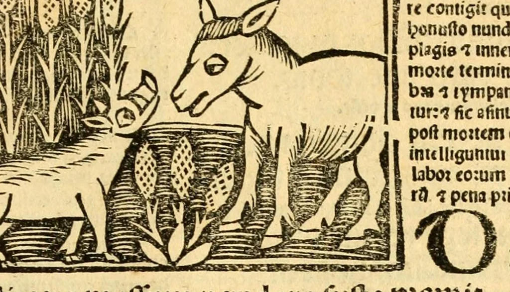 An illustration from Aesopi fabvlae cvm vvlgari interpretatione : et figuris nouissime omni cura, & diligentia emendatae, 1557, leaf 69