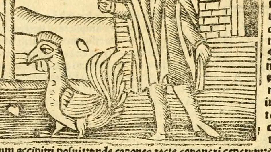 An illustration from Aesopi fabvlae cvm vvlgari interpretatione : et figuris nouissime omni cura, & diligentia emendatae, 1557, leaf 77