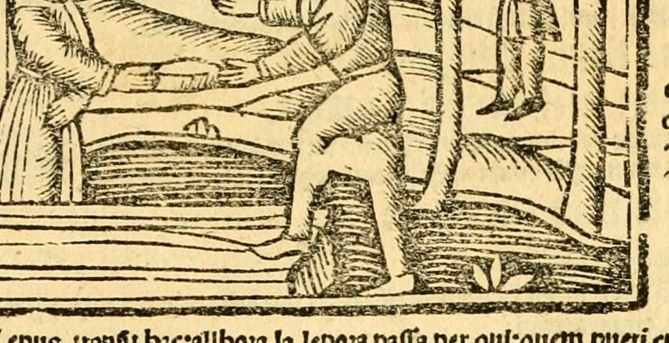 An illustration from Aesopi fabvlae cvm vvlgari interpretatione : et figuris nouissime omni cura, & diligentia emendatae, 1557, leaf 79