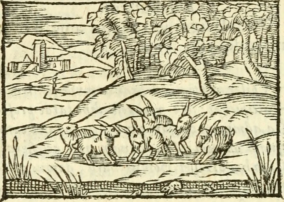 An illustration from Aesopi Phrigis Et Aliorvm Fabvlae. : Elegantissimis Iconibus illustratæ, & diligentius quàm antehac emendatæ, 1554, leaf 117