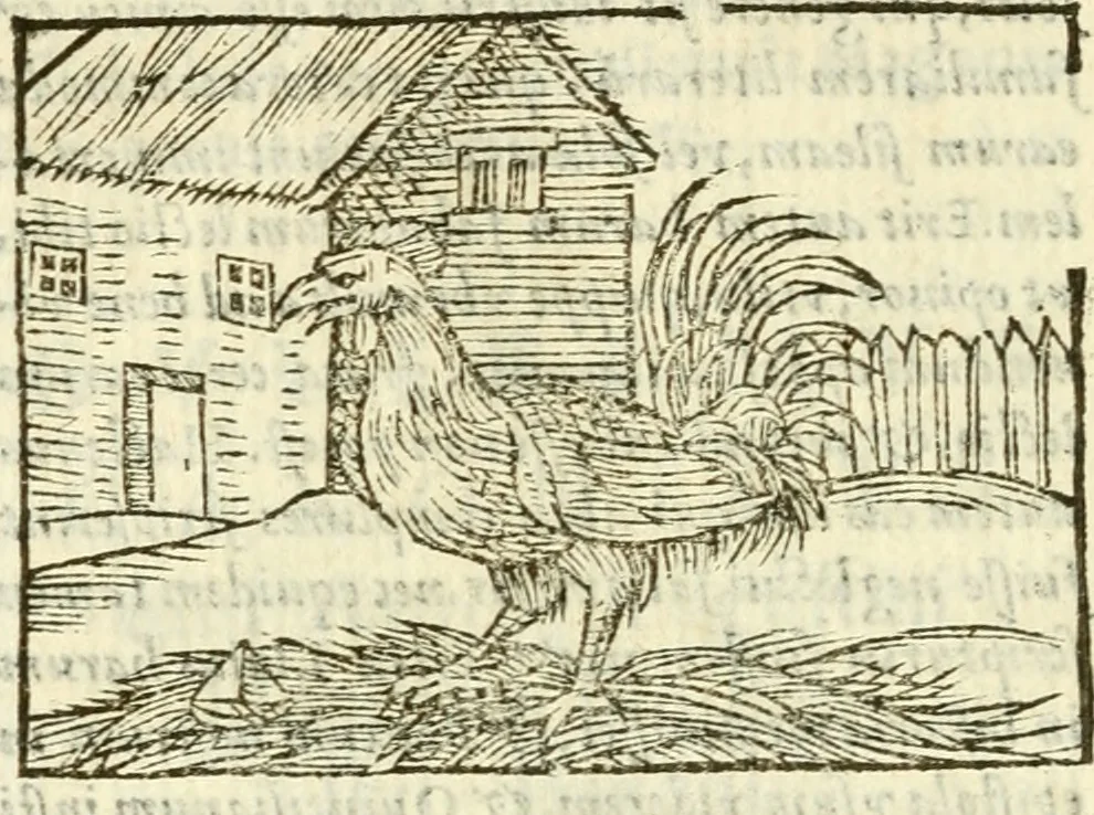 An illustration from Aesopi Phrigis Et Aliorvm Fabvlae. : Elegantissimis Iconibus illustratæ, & diligentius quàm antehac emendatæ, 1554, leaf 131