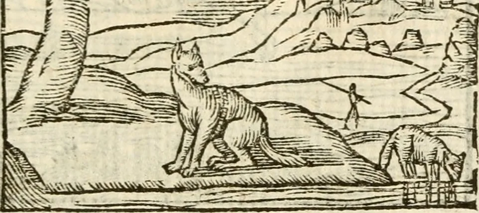 An illustration from Aesopi Phrigis Et Aliorvm Fabvlae. : Elegantissimis Iconibus illustratæ, & diligentius quàm antehac emendatæ, 1554, leaf 132