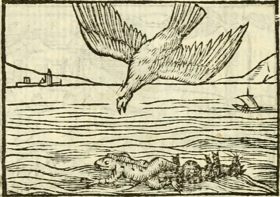 An illustration from Aesopi Phrigis Et Aliorvm Fabvlae. : Elegantissimis Iconibus illustratæ, & diligentius quàm antehac emendatæ, 1554, leaf 133
