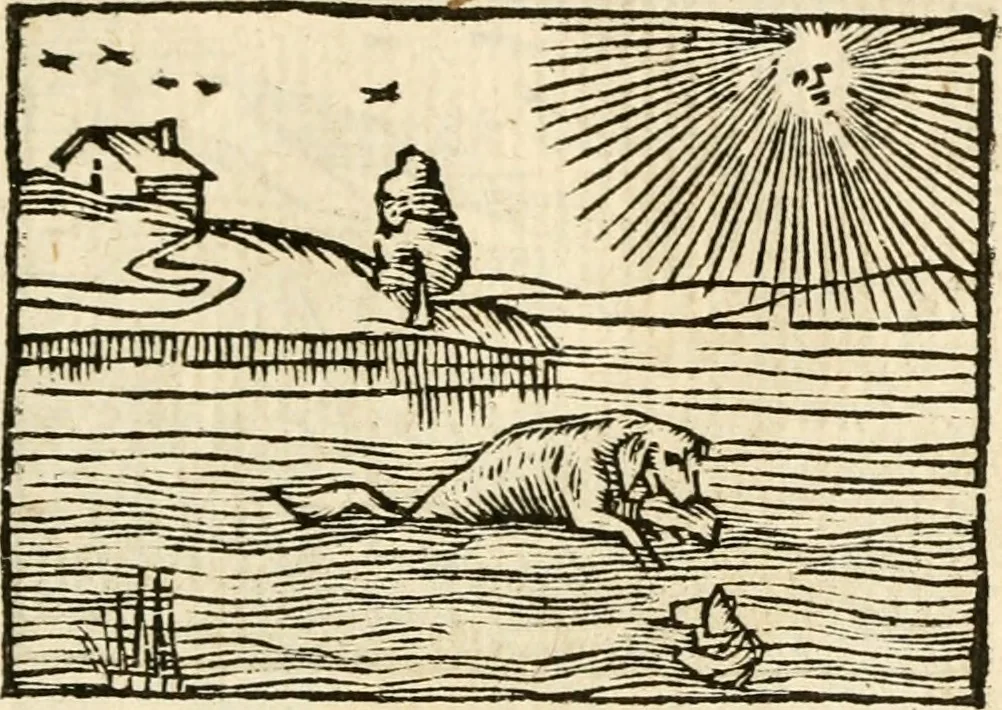 An illustration from Aesopi Phrigis Et Aliorvm Fabvlae. : Elegantissimis Iconibus illustratæ, & diligentius quàm antehac emendatæ, 1554, leaf 134