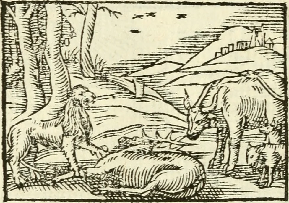 An illustration from Aesopi Phrigis Et Aliorvm Fabvlae. : Elegantissimis Iconibus illustratæ, & diligentius quàm antehac emendatæ, 1554, leaf 135