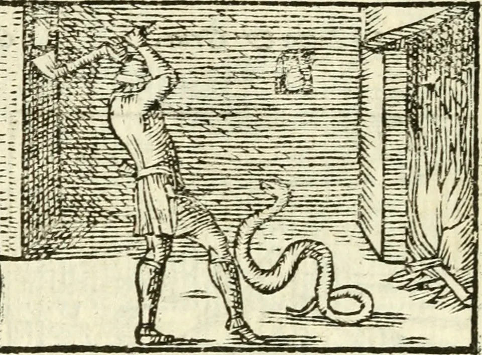 An illustration from Aesopi Phrigis Et Aliorvm Fabvlae. : Elegantissimis Iconibus illustratæ, & diligentius quàm antehac emendatæ, 1554, leaf 137