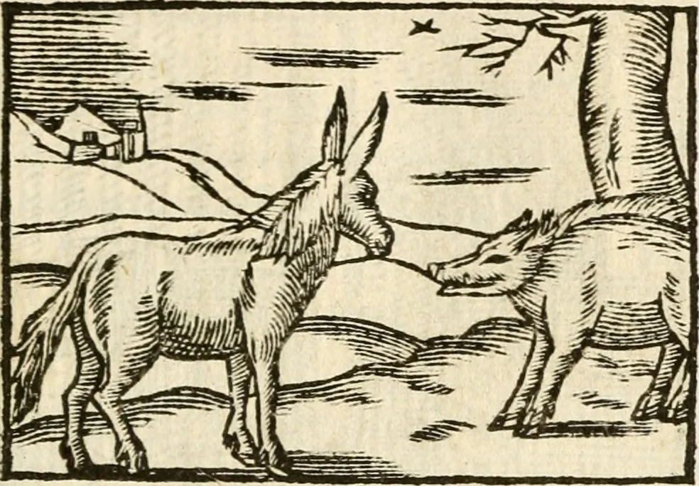 An illustration from Aesopi Phrigis Et Aliorvm Fabvlae. : Elegantissimis Iconibus illustratæ, & diligentius quàm antehac emendatæ, 1554, leaf 138