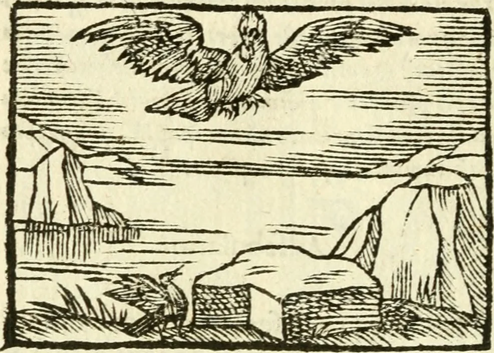 An illustration from Aesopi Phrigis Et Aliorvm Fabvlae. : Elegantissimis Iconibus illustratæ, & diligentius quàm antehac emendatæ, 1554, leaf 141