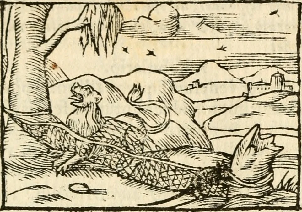 An illustration from Aesopi Phrigis Et Aliorvm Fabvlae. : Elegantissimis Iconibus illustratæ, & diligentius quàm antehac emendatæ, 1554, leaf 146