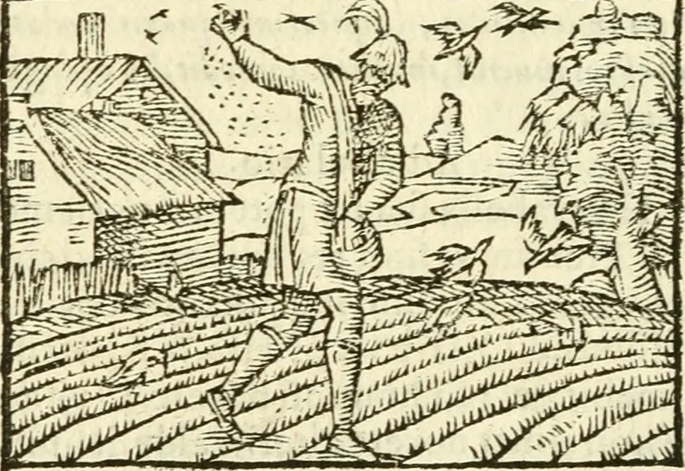 An illustration from Aesopi Phrigis Et Aliorvm Fabvlae. : Elegantissimis Iconibus illustratæ, & diligentius quàm antehac emendatæ, 1554, leaf 147