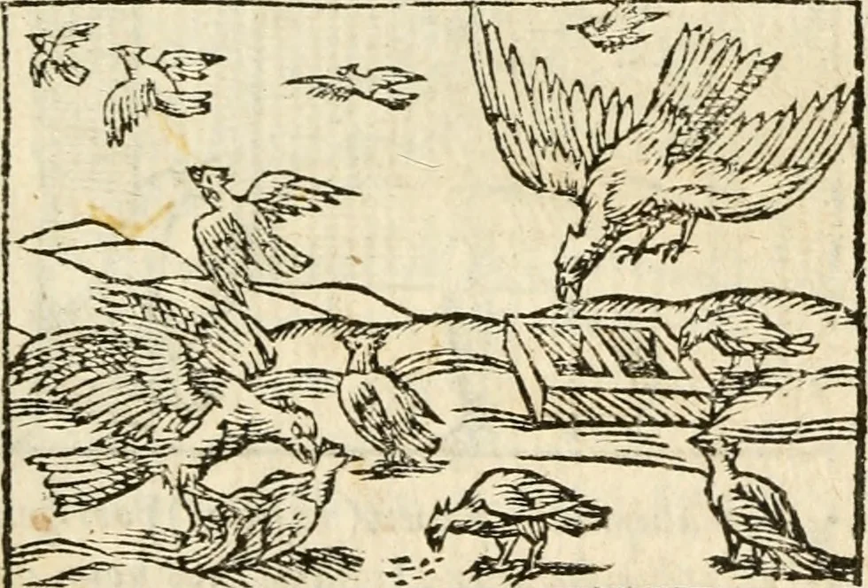 An illustration from Aesopi Phrigis Et Aliorvm Fabvlae. : Elegantissimis Iconibus illustratæ, & diligentius quàm antehac emendatæ, 1554, leaf 150