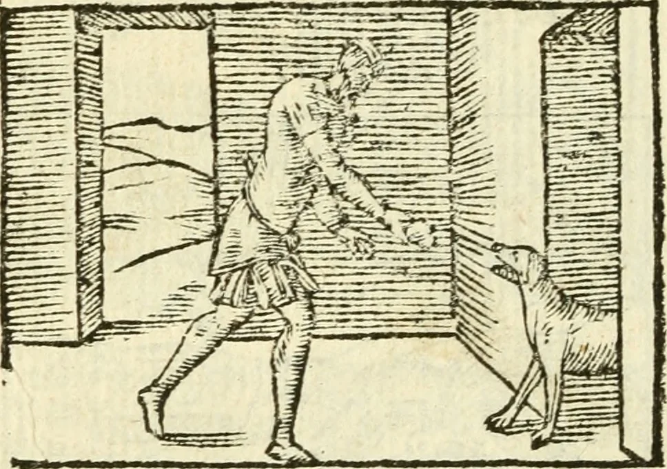 An illustration from Aesopi Phrigis Et Aliorvm Fabvlae. : Elegantissimis Iconibus illustratæ, & diligentius quàm antehac emendatæ, 1554, leaf 151