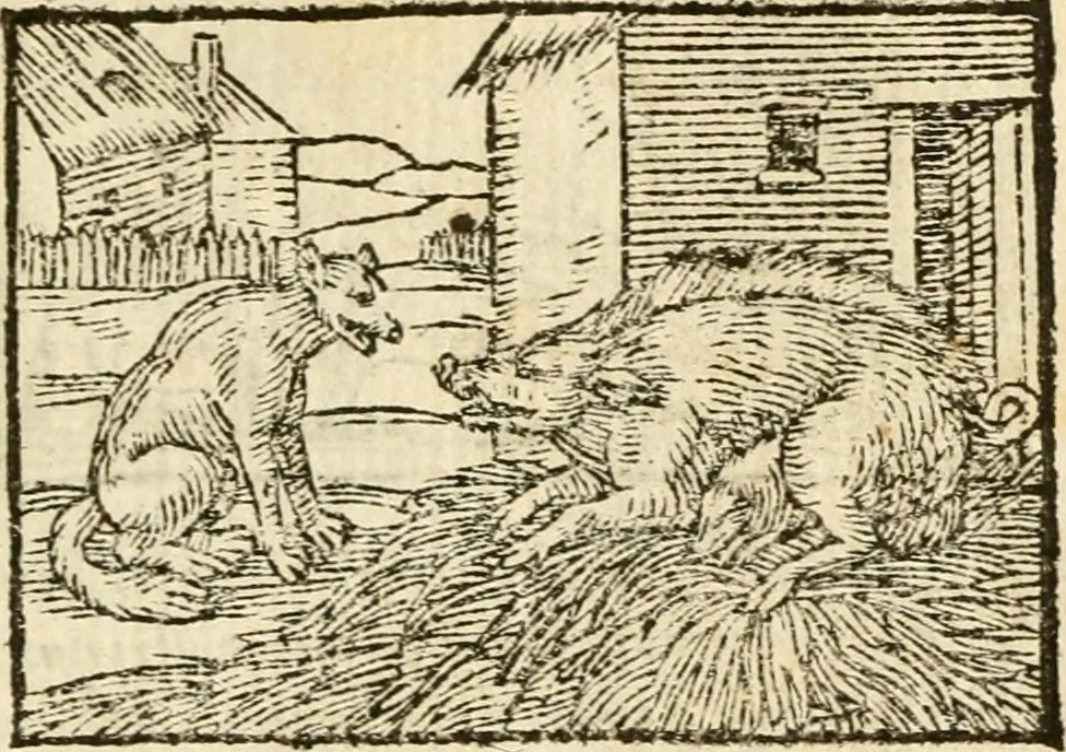 An illustration from Aesopi Phrigis Et Aliorvm Fabvlae. : Elegantissimis Iconibus illustratæ, & diligentius quàm antehac emendatæ, 1554, leaf 152