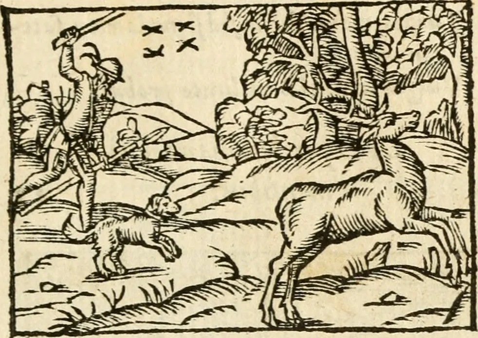 An illustration from Aesopi Phrigis Et Aliorvm Fabvlae. : Elegantissimis Iconibus illustratæ, & diligentius quàm antehac emendatæ, 1554, leaf 154