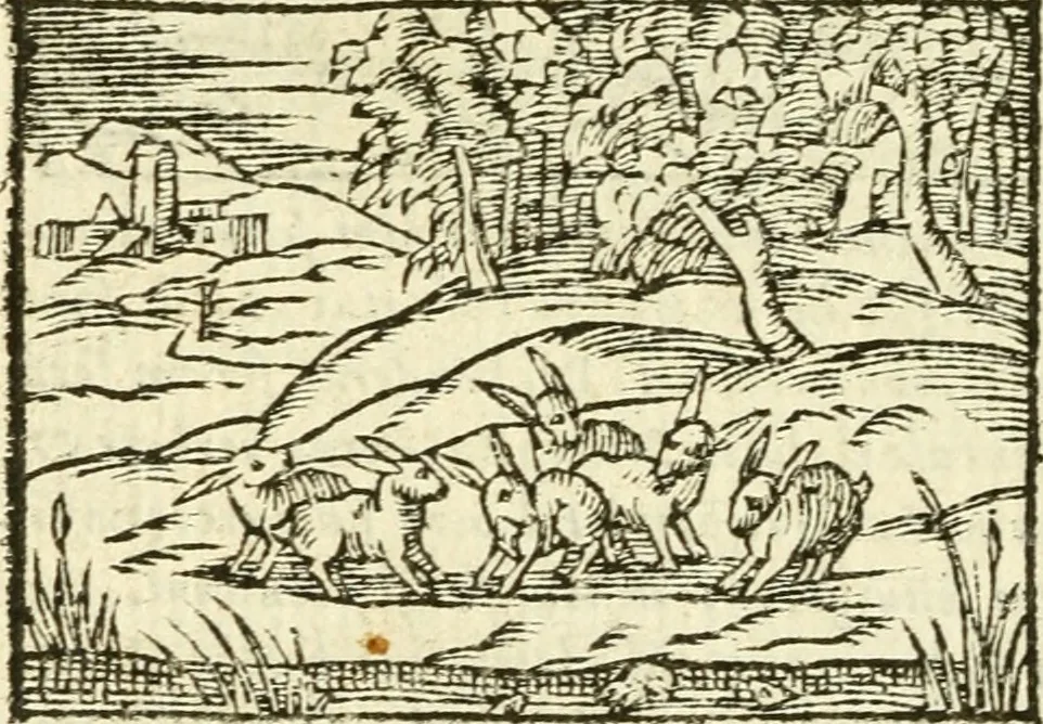 An illustration from Aesopi Phrigis Et Aliorvm Fabvlae. : Elegantissimis Iconibus illustratæ, & diligentius quàm antehac emendatæ, 1554, leaf 155