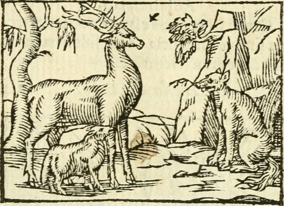 An illustration from Aesopi Phrigis Et Aliorvm Fabvlae. : Elegantissimis Iconibus illustratæ, & diligentius quàm antehac emendatæ, 1554, leaf 157