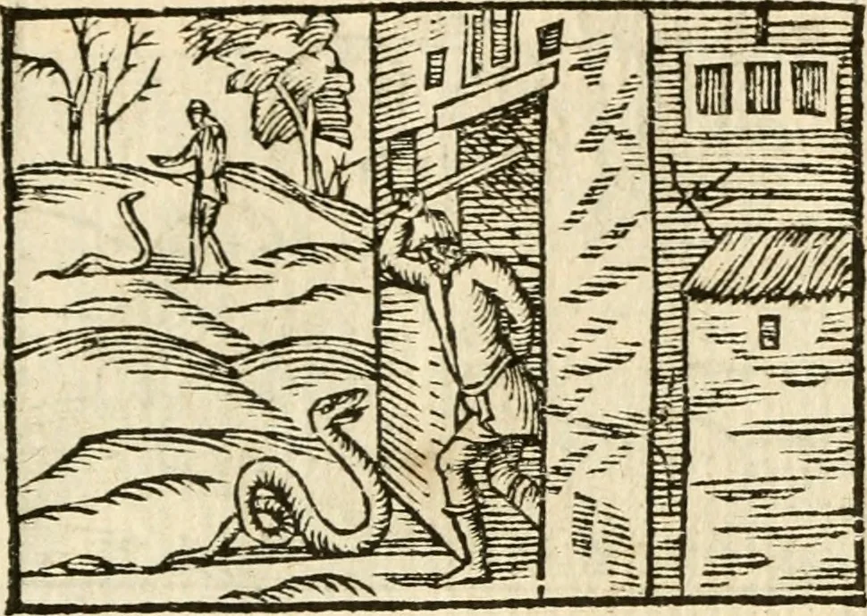 An illustration from Aesopi Phrigis Et Aliorvm Fabvlae. : Elegantissimis Iconibus illustratæ, & diligentius quàm antehac emendatæ, 1554, leaf 158
