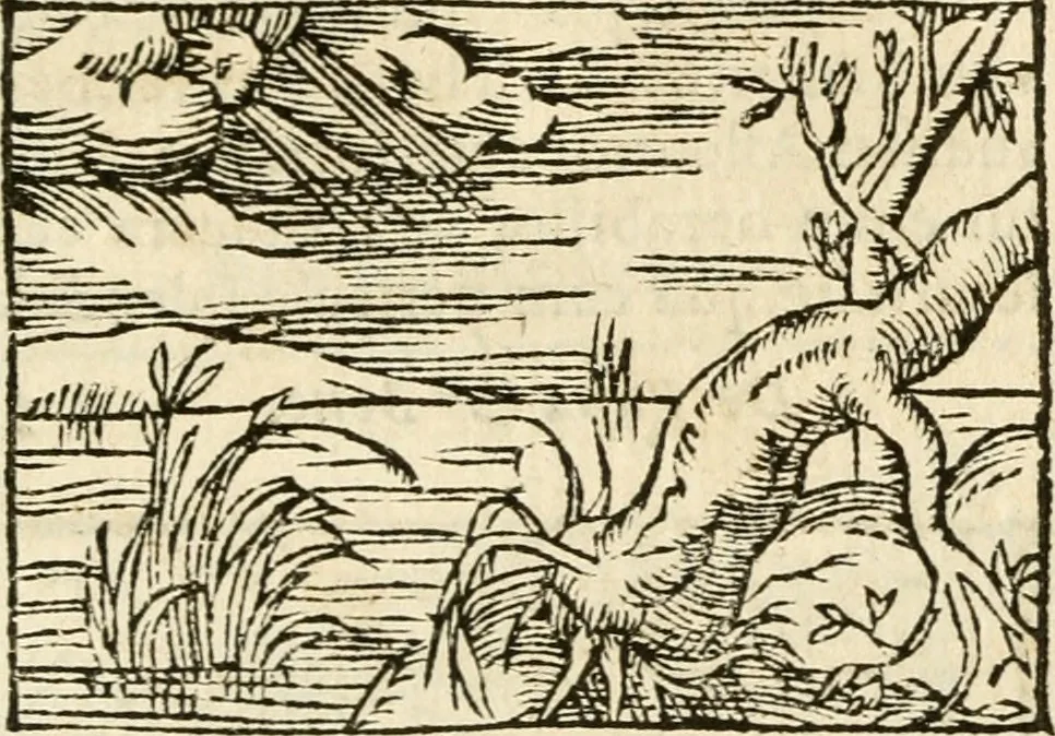 An illustration from Aesopi Phrigis Et Aliorvm Fabvlae. : Elegantissimis Iconibus illustratæ, & diligentius quàm antehac emendatæ, 1554, leaf 162