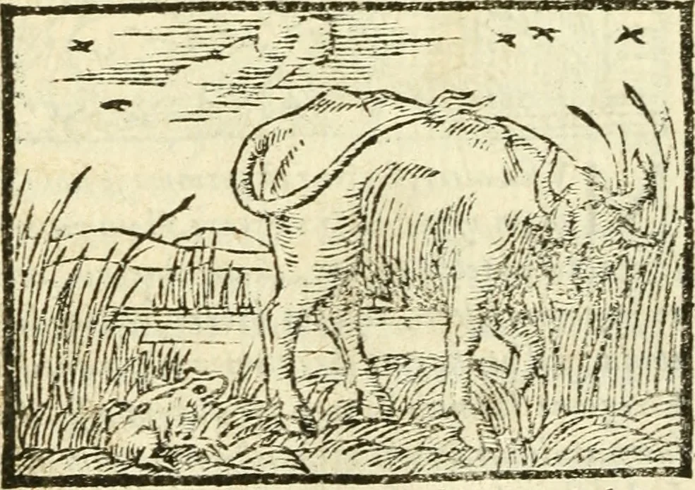 An illustration from Aesopi Phrigis Et Aliorvm Fabvlae. : Elegantissimis Iconibus illustratæ, & diligentius quàm antehac emendatæ, 1554, leaf 163