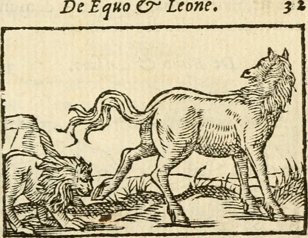 An illustration from Aesopi Phrigis Et Aliorvm Fabvlae. : Elegantissimis Iconibus illustratæ, & diligentius quàm antehac emendatæ, 1554, leaf 164