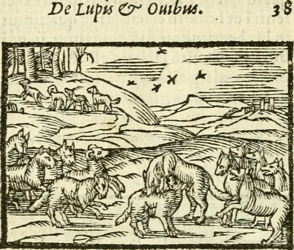 An illustration from Aesopi Phrigis Et Aliorvm Fabvlae. : Elegantissimis Iconibus illustratæ, & diligentius quàm antehac emendatæ, 1554, leaf 171