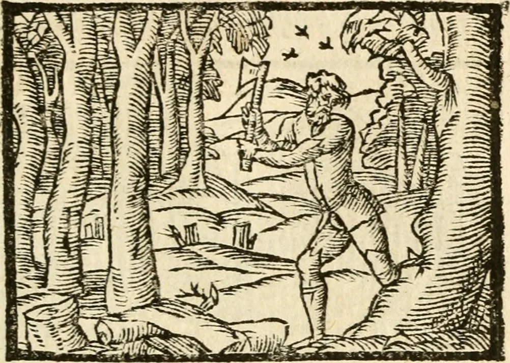 An illustration from Aesopi Phrigis Et Aliorvm Fabvlae. : Elegantissimis Iconibus illustratæ, & diligentius quàm antehac emendatæ, 1554, leaf 172