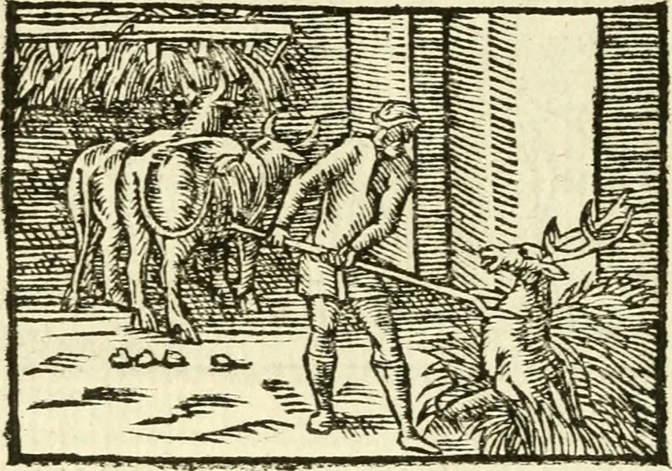 An illustration from Aesopi Phrigis Et Aliorvm Fabvlae. : Elegantissimis Iconibus illustratæ, & diligentius quàm antehac emendatæ, 1554, leaf 175