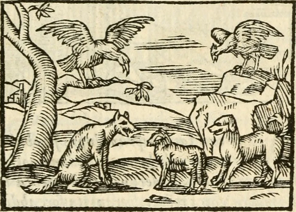 An illustration from Aesopi Phrigis Et Aliorvm Fabvlae. : Elegantissimis Iconibus illustratæ, & diligentius quàm antehac emendatæ, 1554, leaf 182