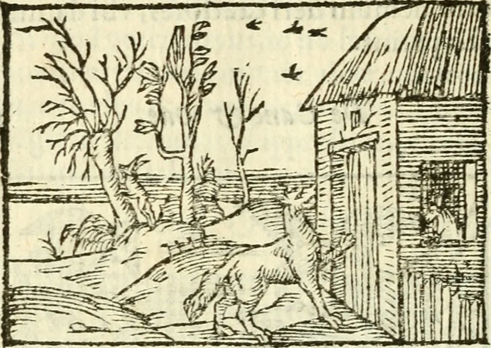 An illustration from Aesopi Phrigis Et Aliorvm Fabvlae. : Elegantissimis Iconibus illustratæ, & diligentius quàm antehac emendatæ, 1554, leaf 183
