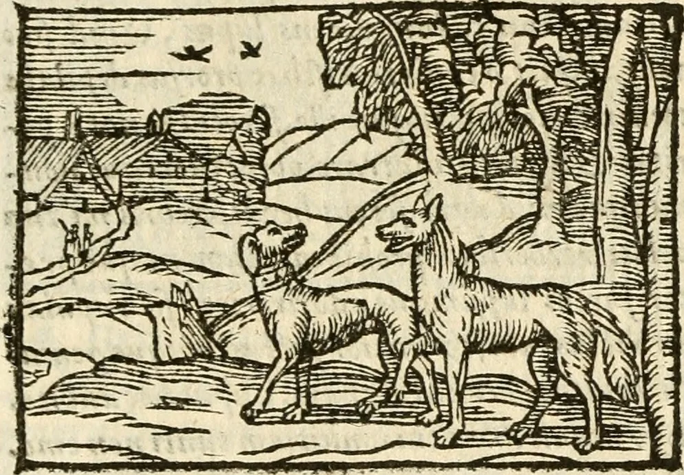 An illustration from Aesopi Phrigis Et Aliorvm Fabvlae. : Elegantissimis Iconibus illustratæ, & diligentius quàm antehac emendatæ, 1554, leaf 190