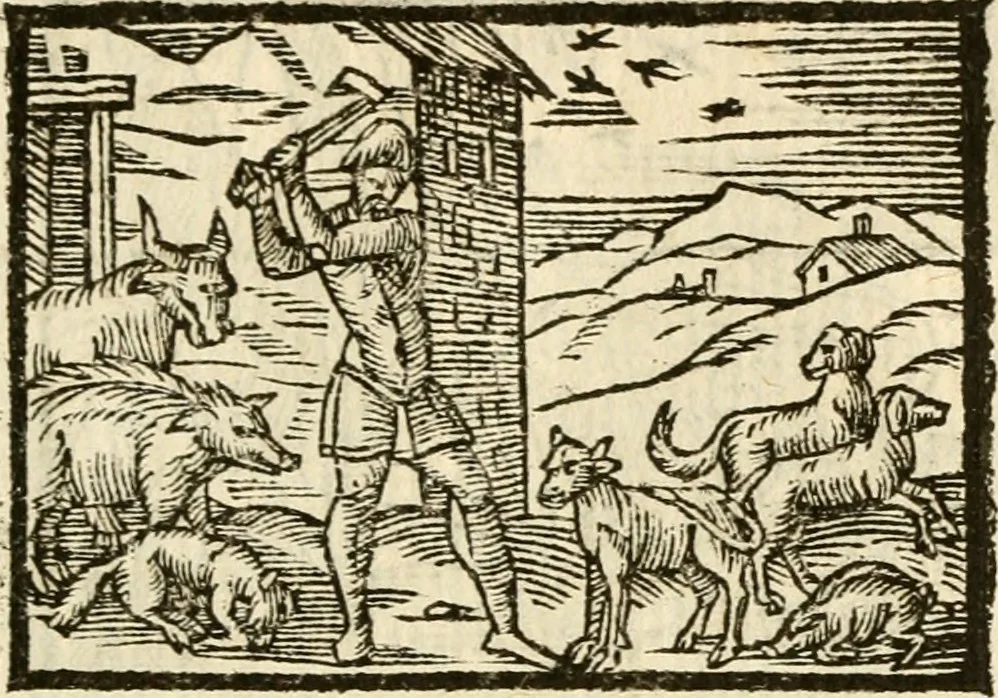 An illustration from Aesopi Phrigis Et Aliorvm Fabvlae. : Elegantissimis Iconibus illustratæ, & diligentius quàm antehac emendatæ, 1554, leaf 192