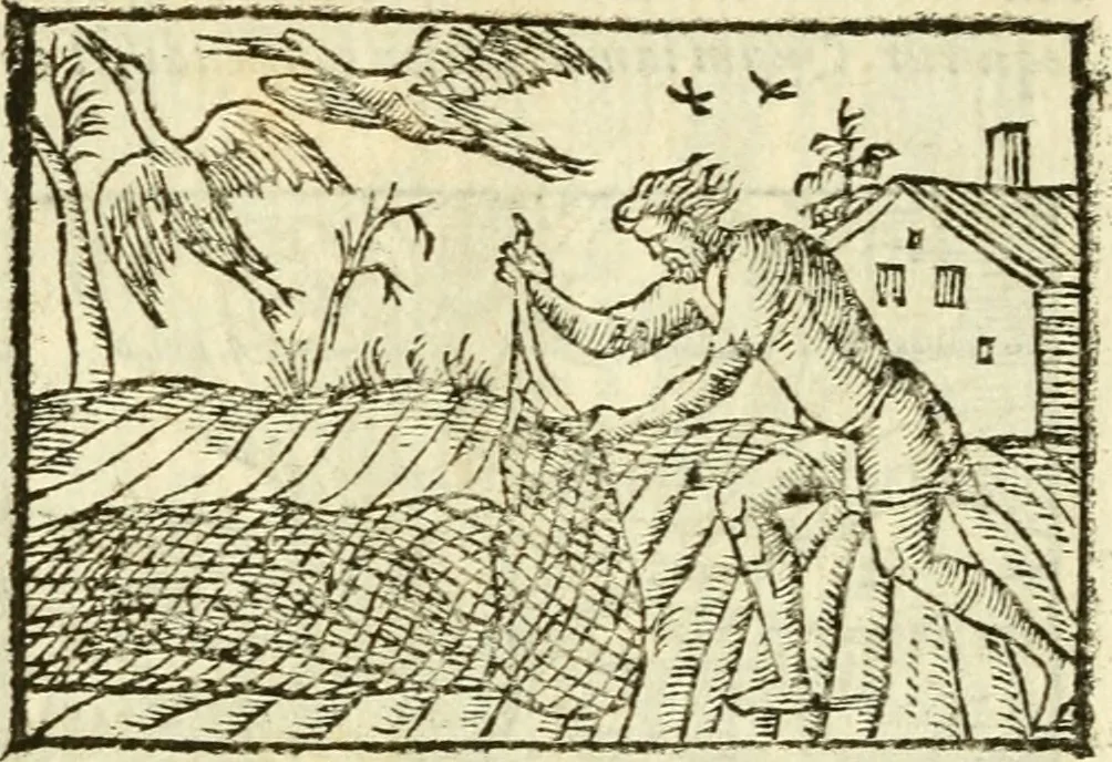 An illustration from Aesopi Phrigis Et Aliorvm Fabvlae. : Elegantissimis Iconibus illustratæ, & diligentius quàm antehac emendatæ, 1554, leaf 195