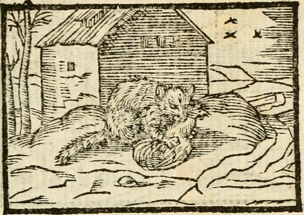 An illustration from Aesopi Phrigis Et Aliorvm Fabvlae. : Elegantissimis Iconibus illustratæ, & diligentius quàm antehac emendatæ, 1554, leaf 196