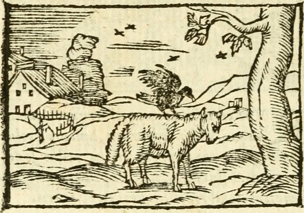 An illustration from Aesopi Phrigis Et Aliorvm Fabvlae. : Elegantissimis Iconibus illustratæ, & diligentius quàm antehac emendatæ, 1554, leaf 199