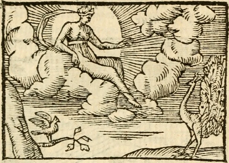 An illustration from Aesopi Phrigis Et Aliorvm Fabvlae. : Elegantissimis Iconibus illustratæ, & diligentius quàm antehac emendatæ, 1554, leaf 200