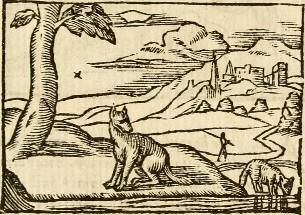 An illustration from Aesopi Phrigis Et Aliorvm Fabvlae. : Elegantissimis Iconibus illustratæ, & diligentius quàm antehac emendatæ, 1554, leaf 206