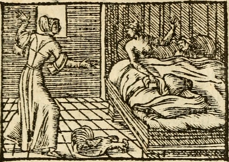 An illustration from Aesopi Phrigis Et Aliorvm Fabvlae. : Elegantissimis Iconibus illustratæ, & diligentius quàm antehac emendatæ, 1554, leaf 208