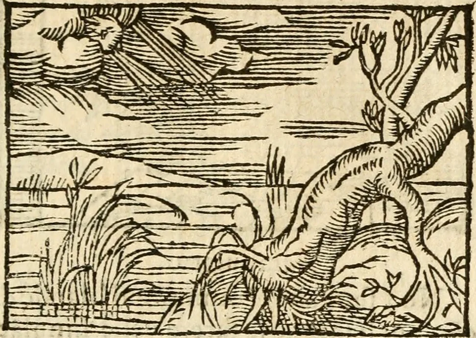 An illustration from Aesopi Phrigis Et Aliorvm Fabvlae. : Elegantissimis Iconibus illustratæ, & diligentius quàm antehac emendatæ, 1554, leaf 210