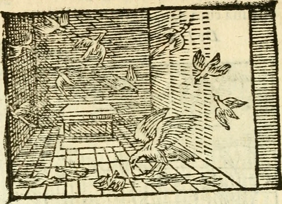 An illustration from Aesopi Phrigis Et Aliorvm Fabvlae. : Elegantissimis Iconibus illustratæ, & diligentius quàm antehac emendatæ, 1554, leaf 211