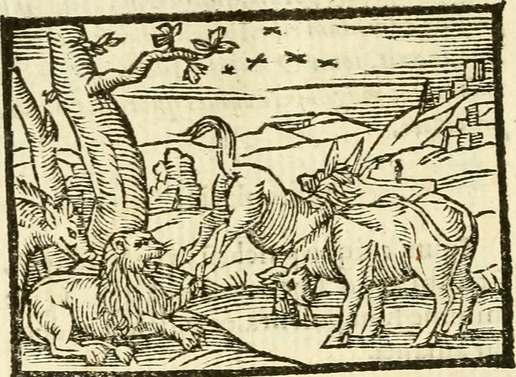 An illustration from Aesopi Phrigis Et Aliorvm Fabvlae. : Elegantissimis Iconibus illustratæ, & diligentius quàm antehac emendatæ, 1554, leaf 213