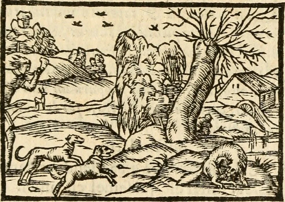 An illustration from Aesopi Phrigis Et Aliorvm Fabvlae. : Elegantissimis Iconibus illustratæ, & diligentius quàm antehac emendatæ, 1554, leaf 214