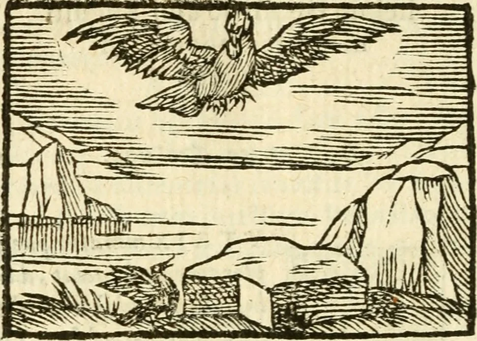 An illustration from Aesopi Phrigis Et Aliorvm Fabvlae. : Elegantissimis Iconibus illustratæ, & diligentius quàm antehac emendatæ, 1554, leaf 217