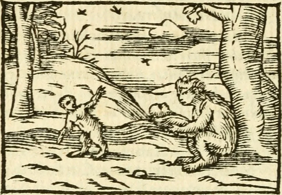 An illustration from Aesopi Phrigis Et Aliorvm Fabvlae. : Elegantissimis Iconibus illustratæ, & diligentius quàm antehac emendatæ, 1554, leaf 233