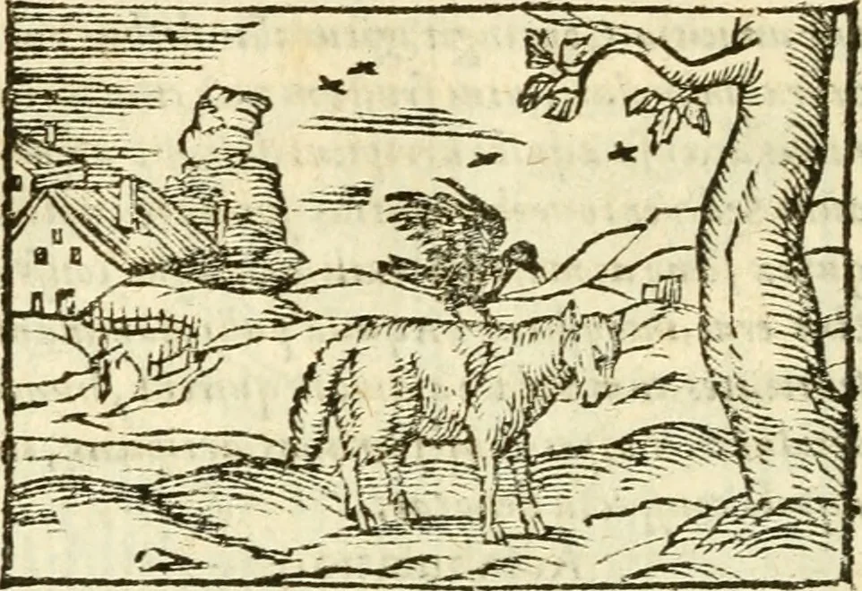 An illustration from Aesopi Phrigis Et Aliorvm Fabvlae. : Elegantissimis Iconibus illustratæ, & diligentius quàm antehac emendatæ, 1554, leaf 239