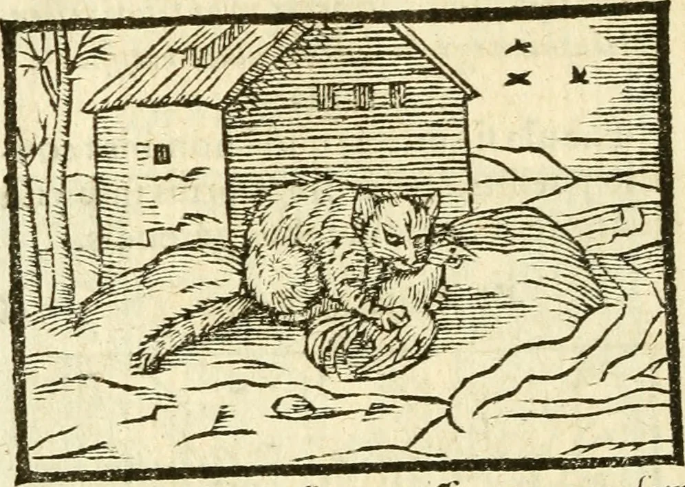 An illustration from Aesopi Phrigis Et Aliorvm Fabvlae. : Elegantissimis Iconibus illustratæ, & diligentius quàm antehac emendatæ, 1554, leaf 243