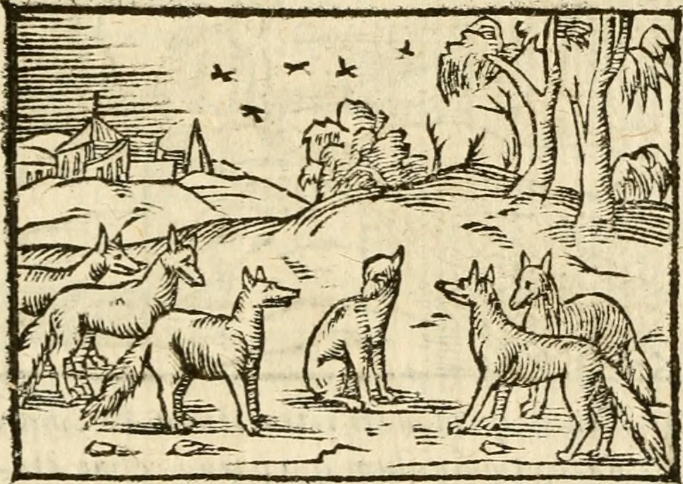 An illustration from Aesopi Phrigis Et Aliorvm Fabvlae. : Elegantissimis Iconibus illustratæ, & diligentius quàm antehac emendatæ, 1554, leaf 244