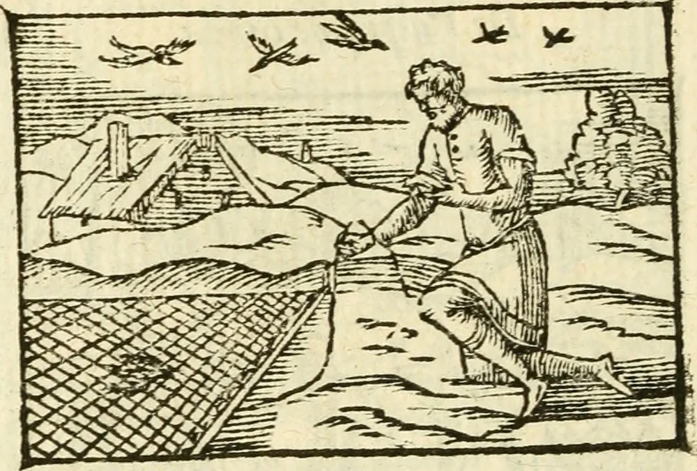 An illustration from Aesopi Phrigis Et Aliorvm Fabvlae. : Elegantissimis Iconibus illustratæ, & diligentius quàm antehac emendatæ, 1554, leaf 245